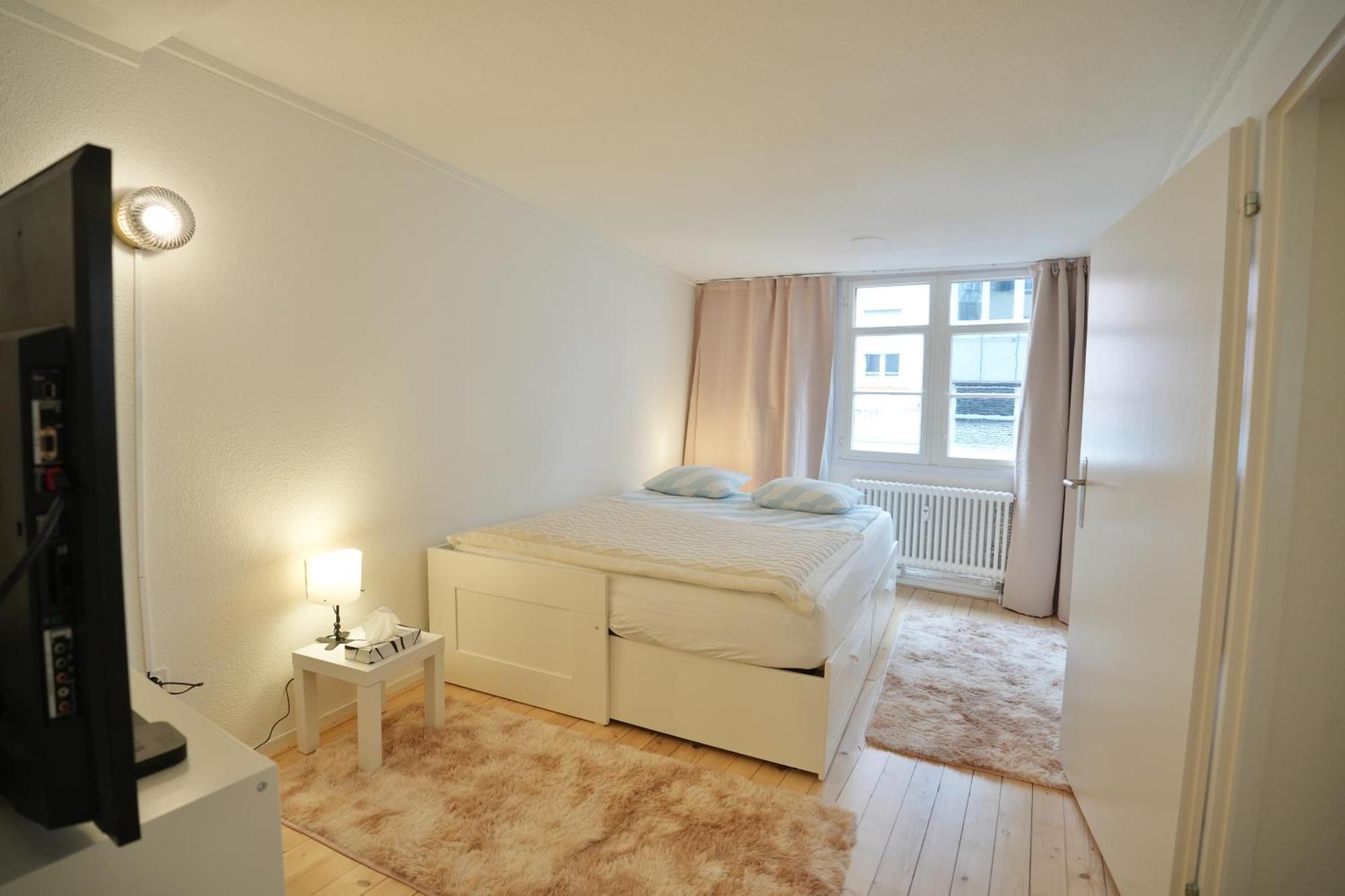 Cozy City Center, 4 Bedroom- 120Sq, 5Min Walk To Main Station Basilej Exteriér fotografie